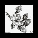 Alster av Anna_kvadrat-2